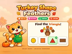 Turkey Shape Feathers game cover